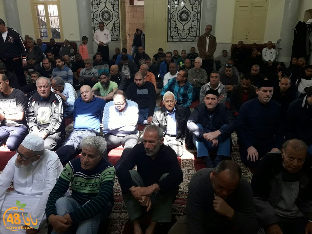 msjaed yaffa  (7).jpg